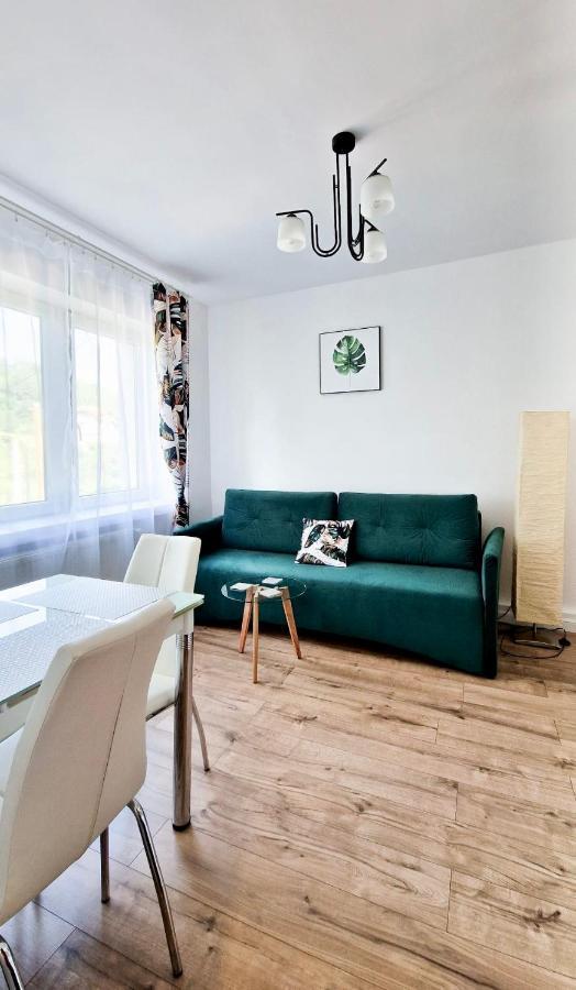Harnas Apartment Rytro